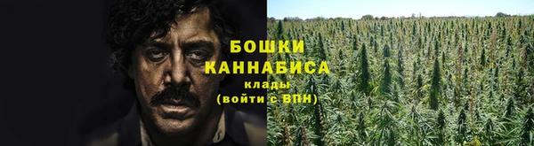 крисы Балабаново