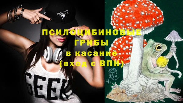 крисы Балабаново