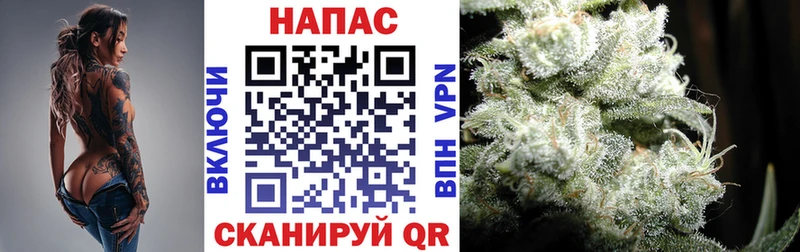 Каннабис OG Kush Тихвин
