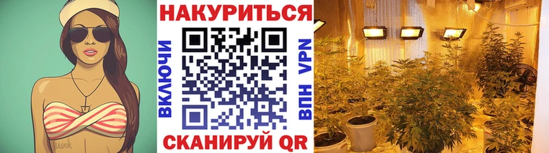 mega ТОР  где найти   Тихвин  Бошки марихуана план 
